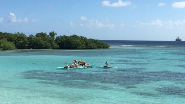 Un mar turquesa y transparente con un pequeño grupo de personas en tablas de paddle.