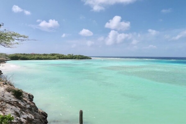 Una playa cerca