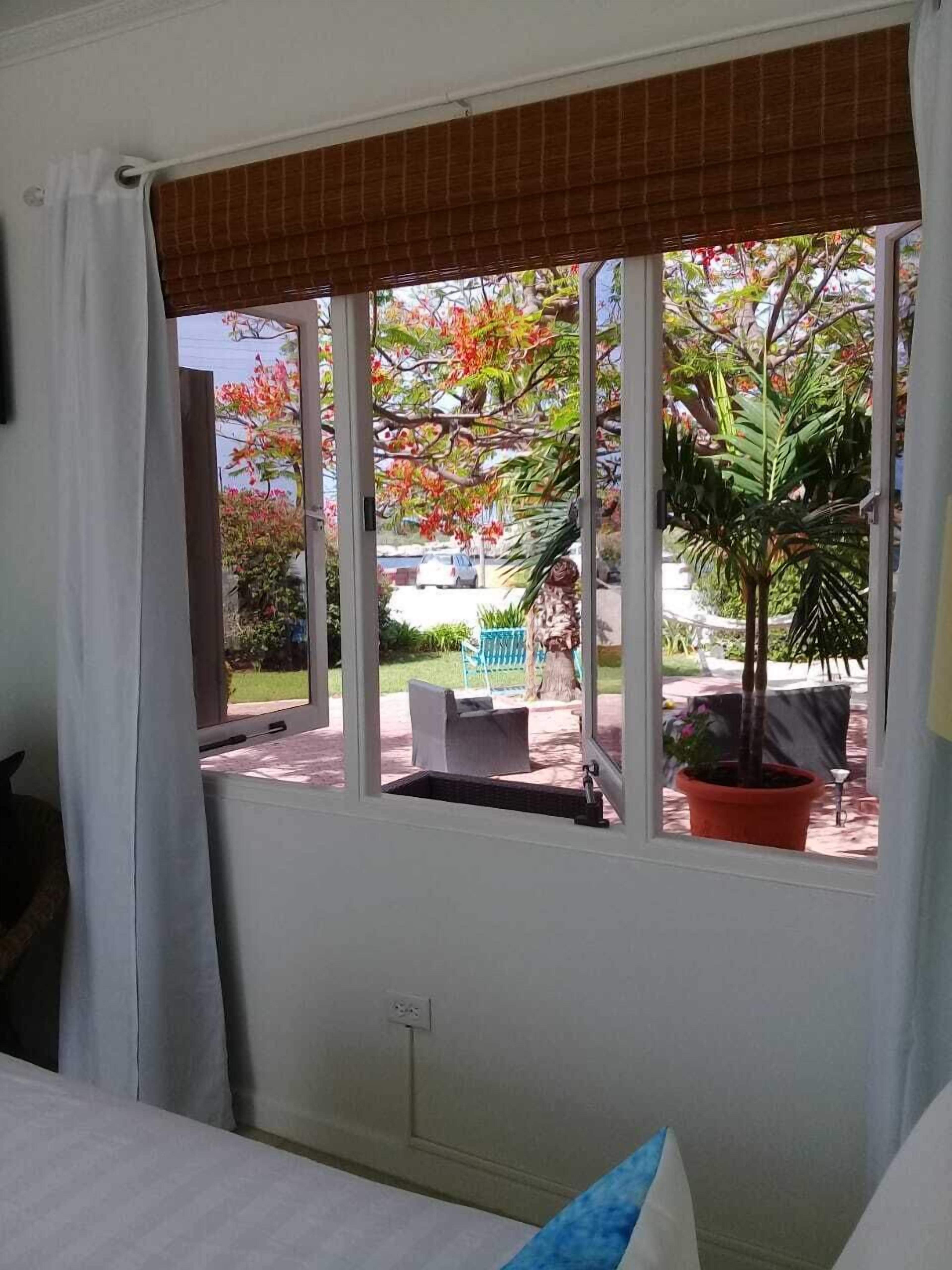 A room with a large window, a bed, and a potted plant.