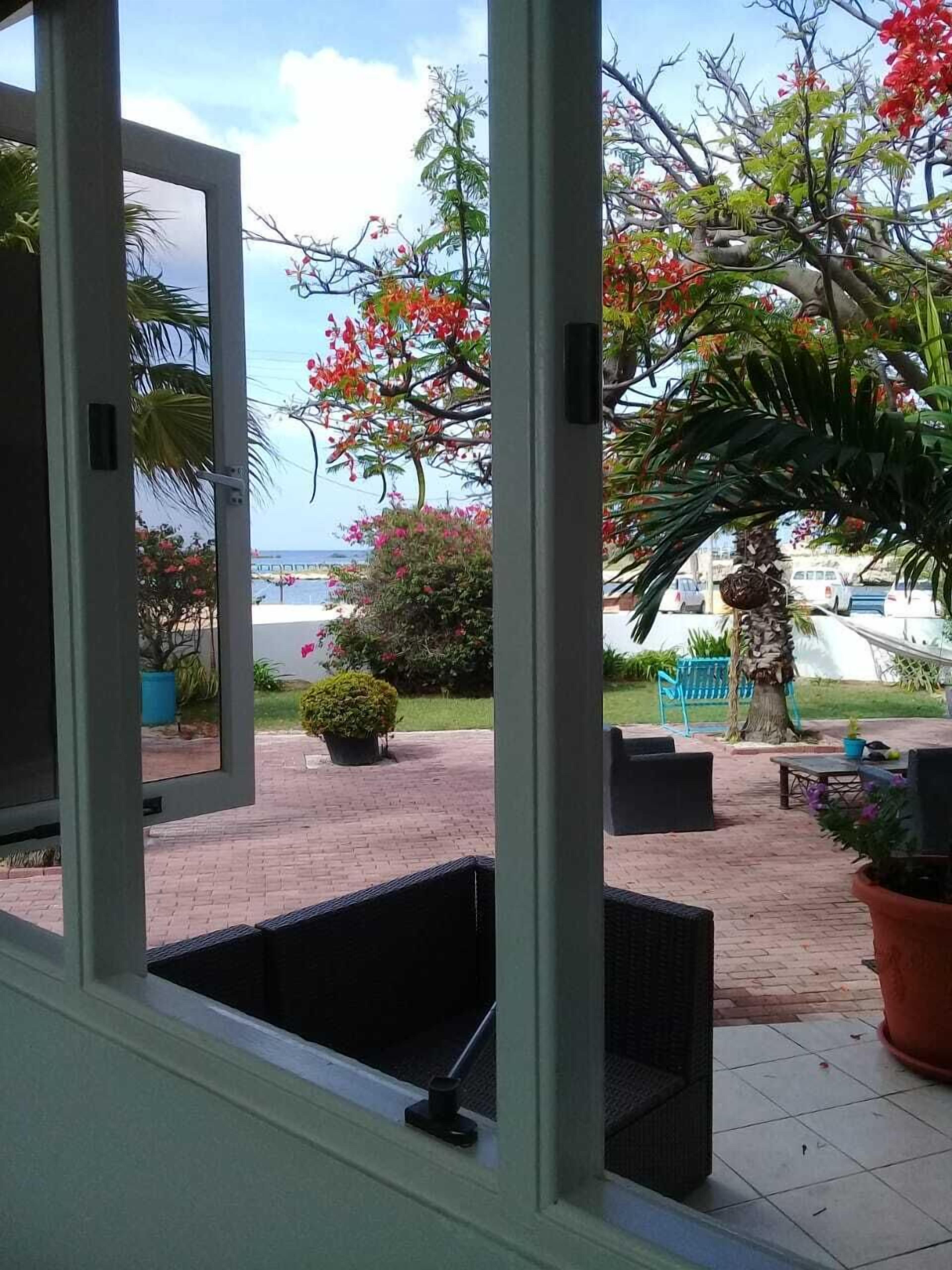 A view through a window of a patio area with outdoor seating, a palm tree, and a view of the sea.