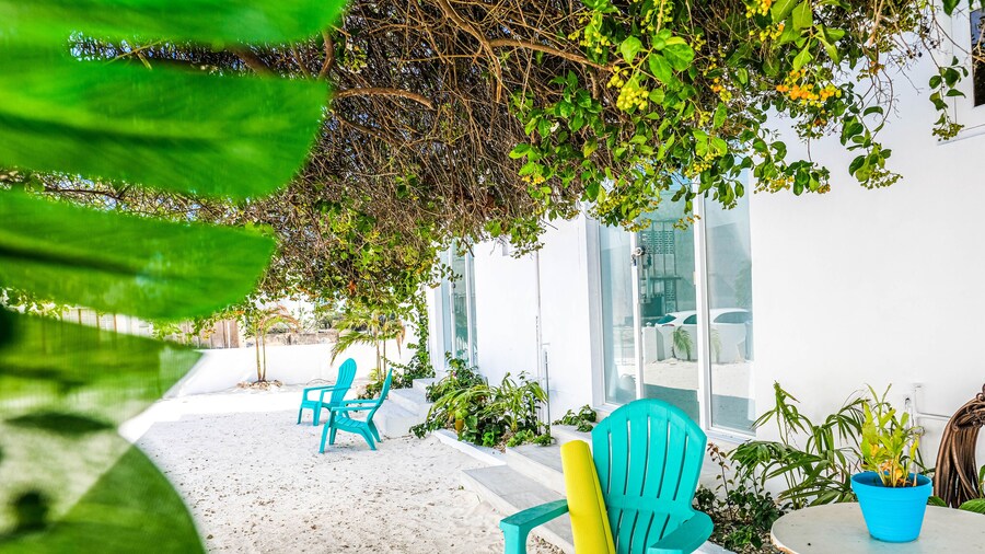 Ocean Front Property - Villa 3 Aruba with Hot Tub