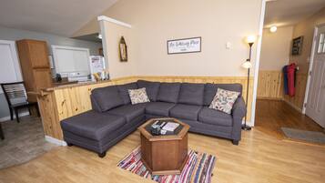 Smart TV, fireplace, DVD player, books