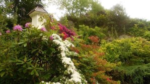 A garden with a white gazebo, lush greenery, and flowering plants.