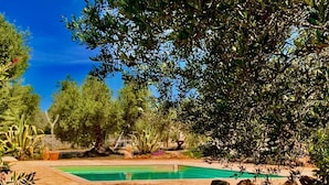 Une piscine entourée de rochers et de différentes plantes, avec des arbres en arrière-plan.