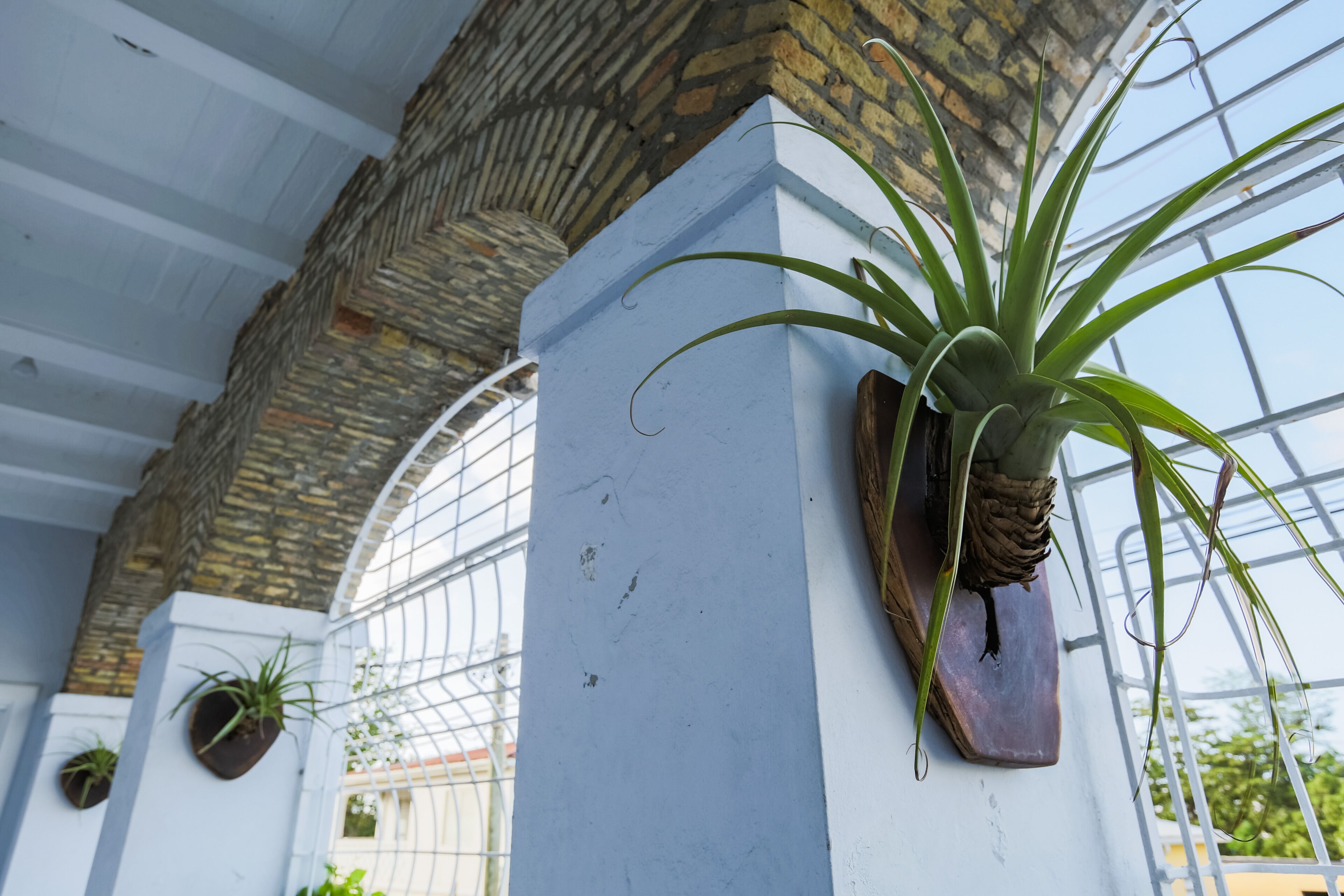 A greenhouse with potted plants on white columns, a stone wall, and a metal fence.