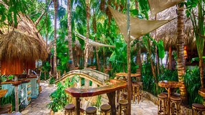 A tropical outdoor dining area with thatched-roof structures, wooden tables, and wicker chairs.