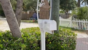 A mailbox with a basket attached to it, surrounded by greenery and palm trees.