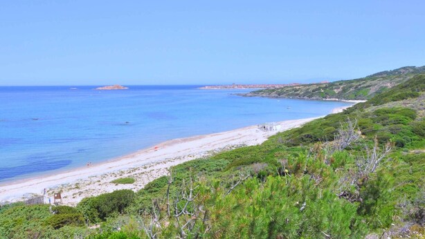 A coastal landscape with a beach, clear blue sea, and green vegetation. - Residence a Badesi ID 3351 (Trinita d'Agultu e Vignola)