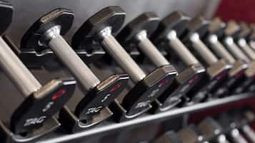 A row of dumbbells on a rack.