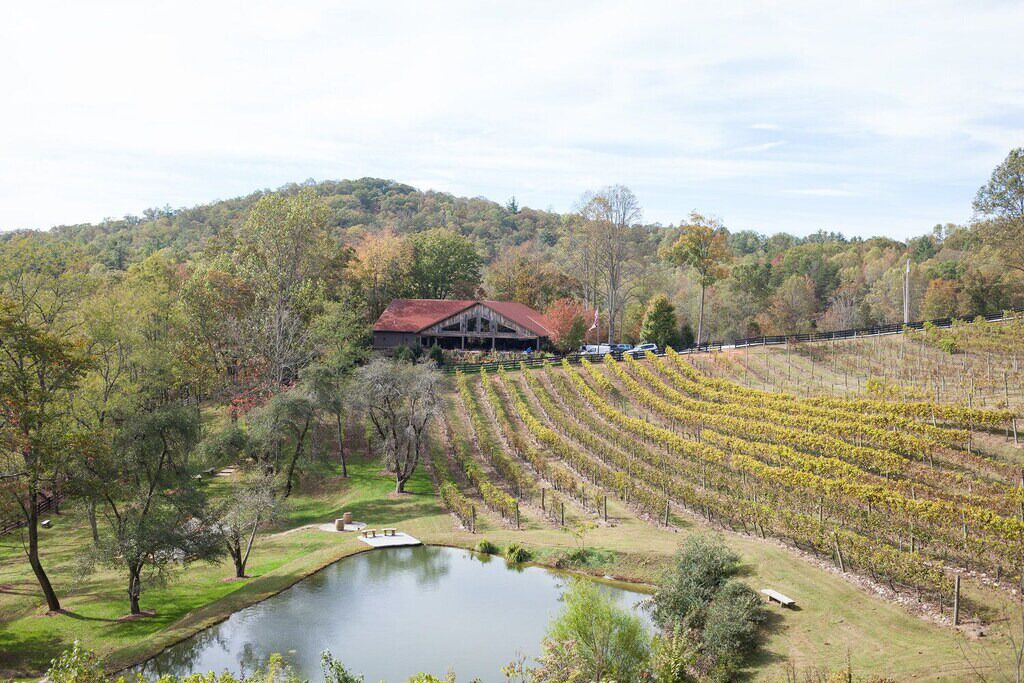Un vignoble avec des rangées de vignes, un étang et un bâtiment rustique avec un toit rouge.