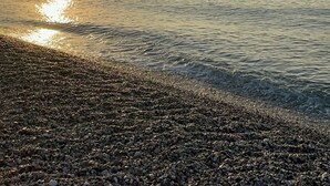Una playa con piedras y agua tranquila que refleja el sol.
