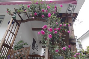 Fachada del alojamiento