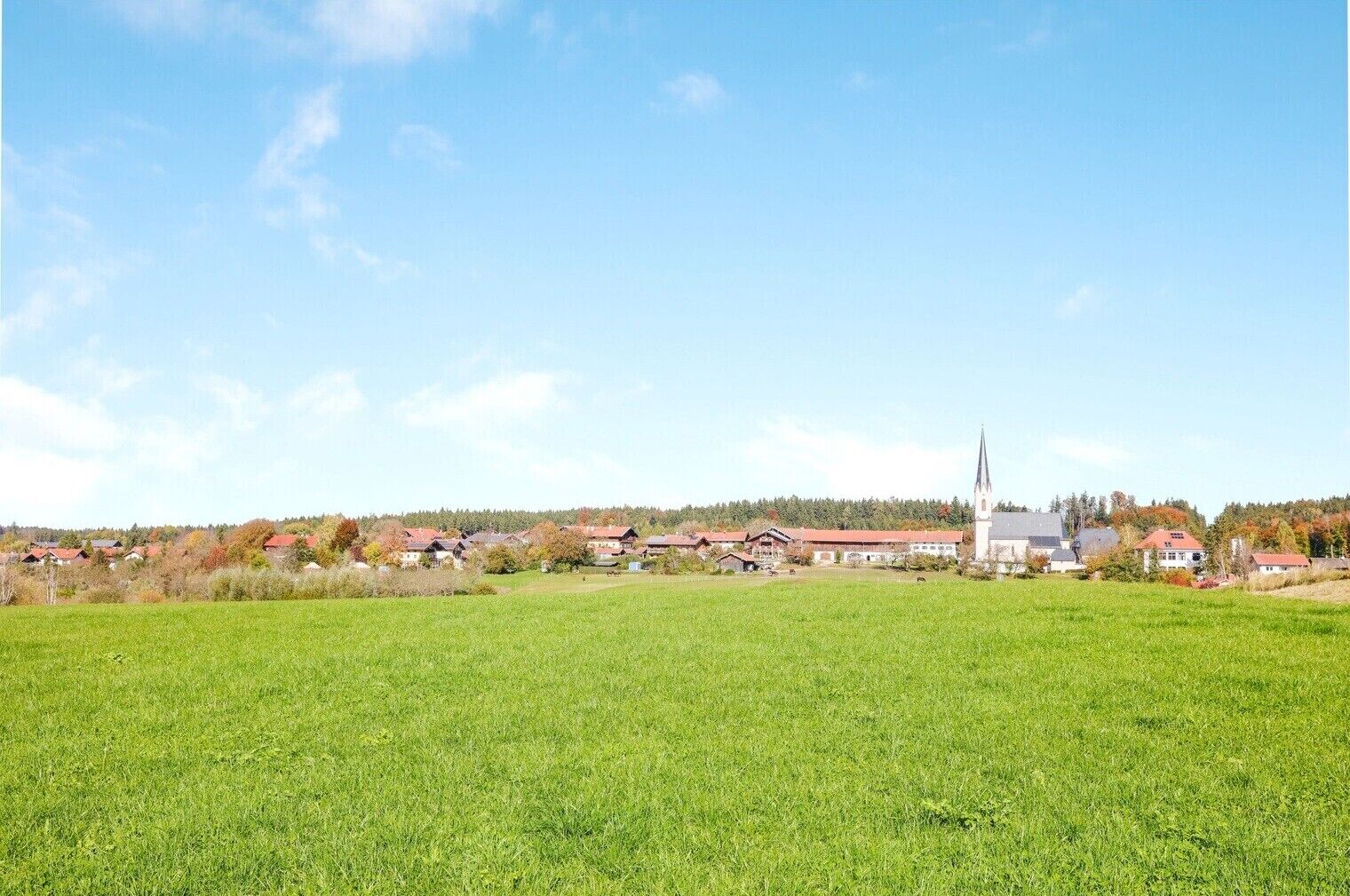 A rural landscape with a church, houses, and a large green field.