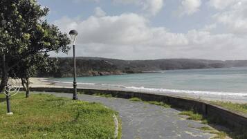 Playa en los alrededores