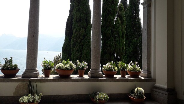 A balcony with potted plants and a view of a lake. - il balcone sul lago (Magreglio)