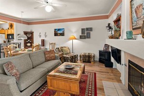 Fernseher, Kamin, DVD-Player, Arbeitsbereiche