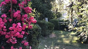 Un jardín con flores rosadas, un banco de madera y un seto.