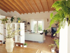 TV, fireplace, books