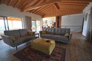 Televisión, chimenea, reproductor de DVD y tenis de mesa 