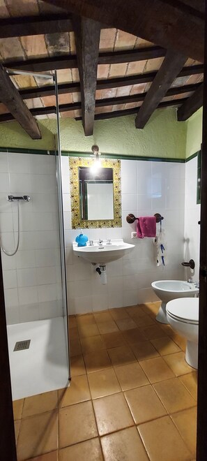 Douche, bidet, serviettes fournies, papier toilette