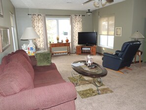 Smart TV, fireplace, DVD player, books