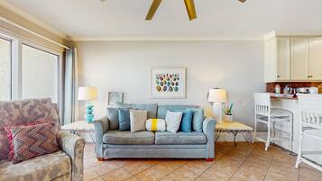 TV, DVD player, video library