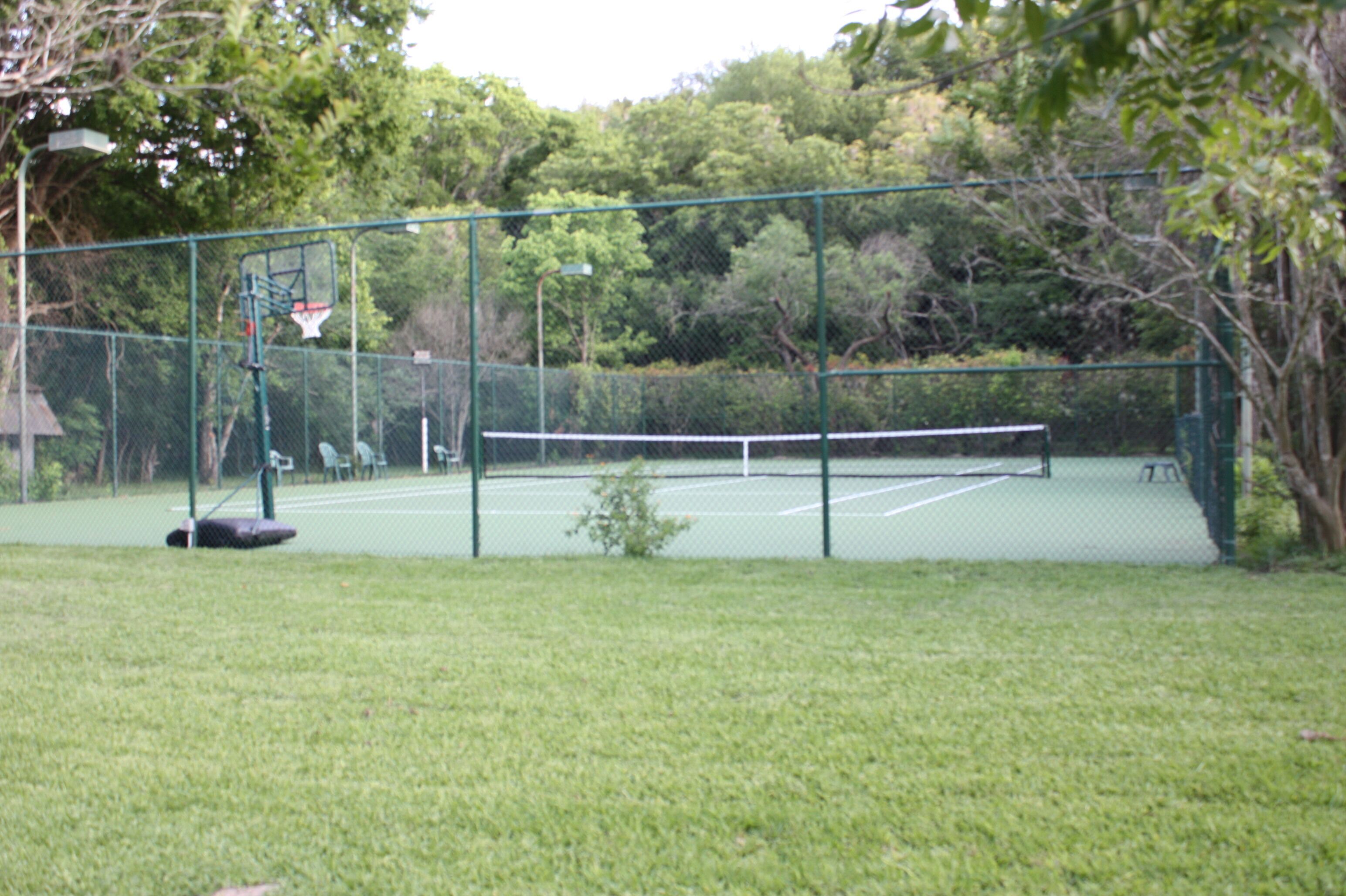 Een tennisbaan met een net, omringd door een groene hek en bomen.