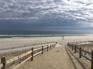 بالقرب من الشاطئ