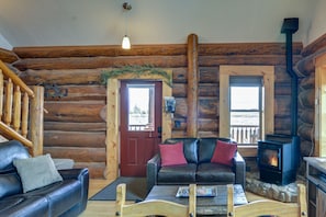 TV, fireplace, DVD player, books