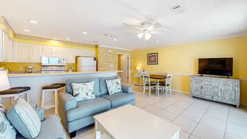 TV, DVD player, video library, stereo