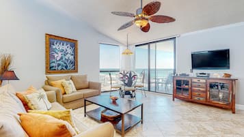 Een flatscreentelevisie, een dvd-speler en een filmbibliotheek