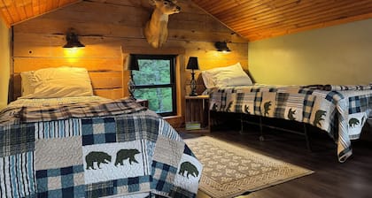 Secluded Cabin outside of Dushore