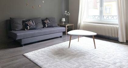 Heart of Metz, 2 rooms free parking wifi 75m² "Le Saint Bernard