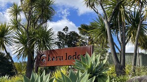 A sign with the text "Keruru Lodge" surrounded by tropical plants and trees. - Moana Apartment with Bush Views and near Surf (Raglan)