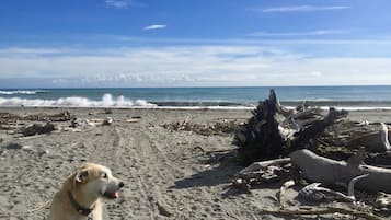 Aan het strand