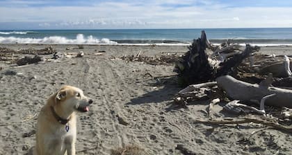 Cameron's Beach Front