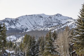 Duschwanne, Haartrockner, Handtücher
