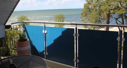 Blaumuschel Haus A Wohnung 19 - DH - Blaumuschel Haus A Wohnung 19 DH-121881