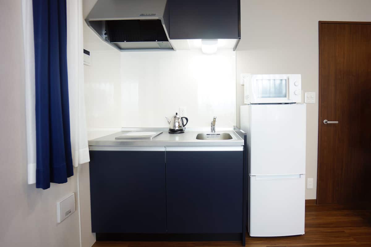 deluxe quadruple room | private kitchenette | fridge, microwave, stovetop, electric kettle
