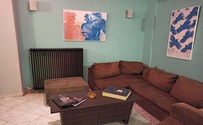 TV, fireplace, books