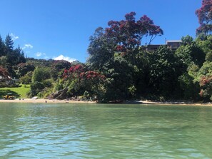 On the beach, sun loungers, beach towels - Private Beach front property in Paradise (Whangateau)