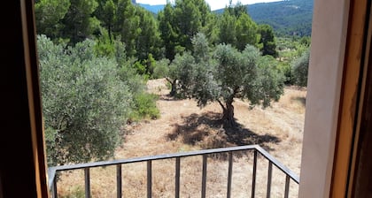 Eco-sustainable El Rincon Rural Estate in the Sierra de Martés Natural Park.