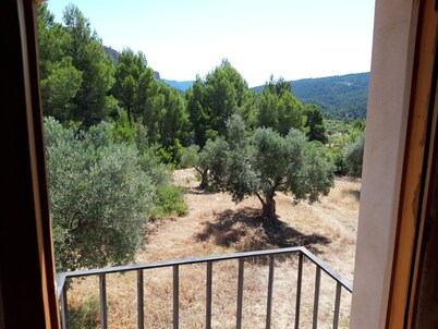 Eco-sustainable El Rincon Rural Estate in the Sierra de Martés Natural Park.