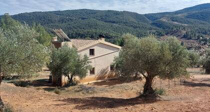 Eco-sustainable El Rincon Rural Estate in the Sierra de Martés Natural Park.