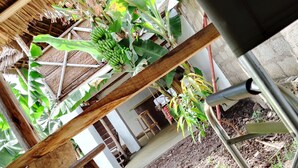Reception - View Mountain House - Backpackers (Arusha)