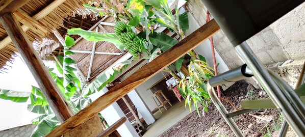 Reception - View Mountain House - Backpackers (Arusha)
