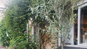 A garden with a variety of plants and a tree in a large planter. - Courtyard cottage in Slapton, South Devon. 10 minutes drive to beach (Kingsbridge, Devon)