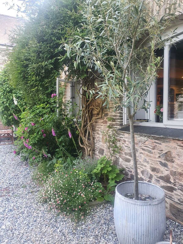 Um jardim com diversos tipos de plantas e uma árvore num vaso grande.