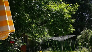 Puutarha, jossa on terassialue, pergola ja erilaisia kasveja.