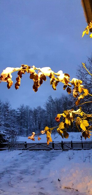 Property grounds - Nature cottage by the lake with river access, river hikes in the Fichtelgebirge (Weidenberg)